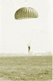 scrap_airborne.gif (4431 bytes)